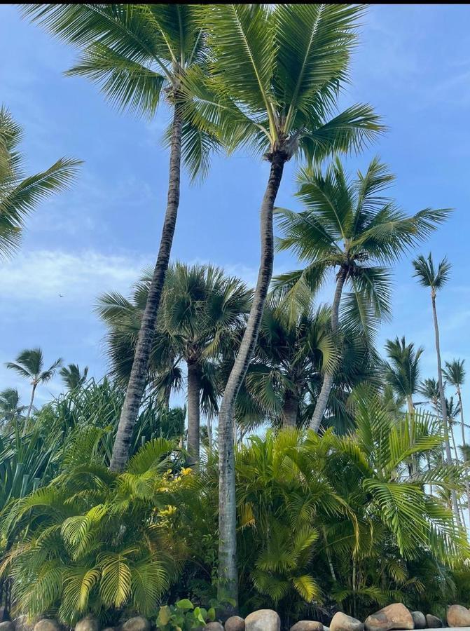 Yonah Comfort Punta Cana, Shared Apartment Exterior photo